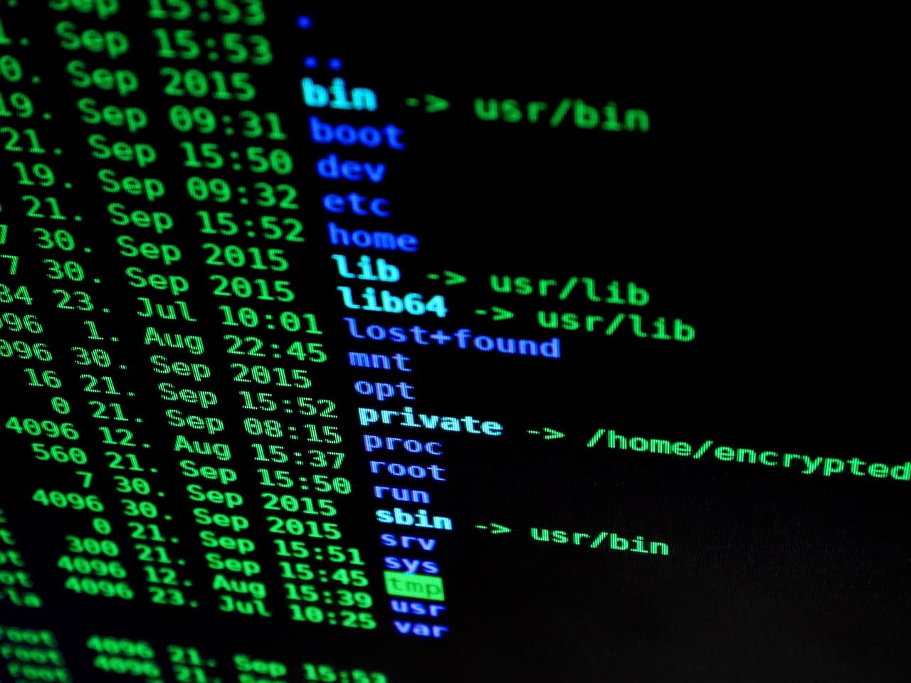 Grande plano de um ecrã de terminal a mostrar uma listagem de diretórios Unix em verde e azul